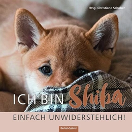 Abbildung von Schober | Ich bin Shiba. Einfach unwiderstehlich! | 1. Auflage | 2018 | beck-shop.de