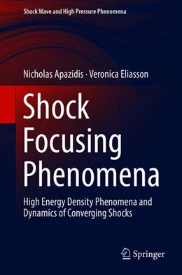 Abbildung von Apazidis / Eliasson | Shock Focusing Phenomena | 1. Auflage | 2018 | beck-shop.de