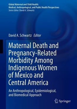 Abbildung von Schwartz | Maternal Death and Pregnancy-Related Morbidity Among Indigenous Women of Mexico and Central America | 1. Auflage | 2018 | beck-shop.de
