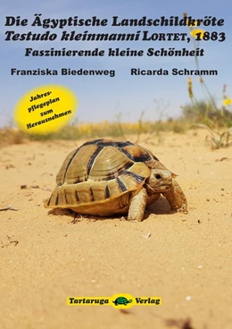 Abbildung von Biedenweg / Schramm | Die Ägyptische Landschildkröte Testudo kleinmanni LORTET, 1883 | 1. Auflage | 2018 | beck-shop.de