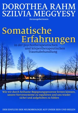 Abbildung von Rahm / Meggyesy | Somatische Erfahrungen in der psychotherapeutischen und körpertherapeutischen Traumabehandlung | 1. Auflage | 2019 | beck-shop.de