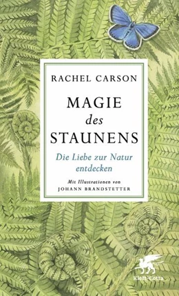 Abbildung von Carson | Magie des Staunens | 2. Auflage | 2019 | beck-shop.de