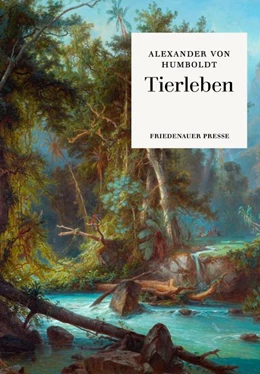 Abbildung von Humboldt / Bärtschi | Tierleben | 1. Auflage | 2019 | beck-shop.de