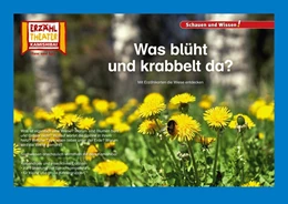 Abbildung von Kamishibai: Was blüht und krabbelt da? | 1. Auflage | 2019 | beck-shop.de