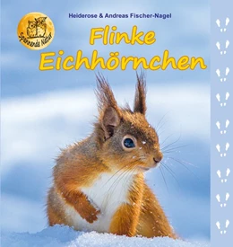 Abbildung von Fischer-Nagel | Flinke Eichhörnchen | 1. Auflage | 2019 | beck-shop.de