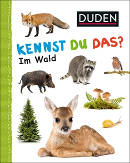 Abbildung von Duden 12+: Kennst du das? Im Wald | 1. Auflage | 2019 | beck-shop.de