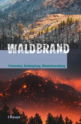 Abbildung von Henning | Waldbrand | 1. Auflage | 2019 | beck-shop.de