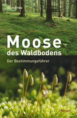 Abbildung von Rapp | Moose des Waldbodens | 1. Auflage | 2020 | beck-shop.de