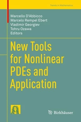 Abbildung von D'Abbicco / Ebert | New Tools for Nonlinear PDEs and Application | 1. Auflage | 2019 | beck-shop.de