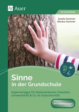Abbildung von Sommer | Sachunterricht an Stationen Spezial Sinne | 1. Auflage | 2019 | beck-shop.de