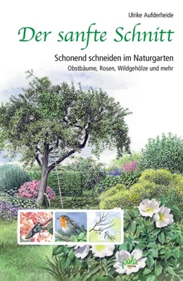 Abbildung von Aufderheide | Der sanfte Schnitt | 4. Auflage | 2021 | beck-shop.de