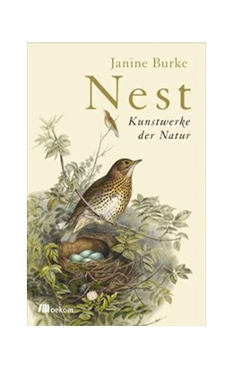 Abbildung von Burke | Nest | 1. Auflage | 2017 | beck-shop.de