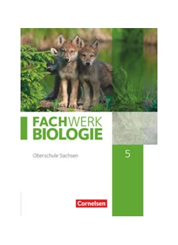 Abbildung von Dives / Dörflinger | Fachwerk Biologie - Sachsen. 5. Schuljahr - neuer Lehrplan - Schülerbuch - Neubearbeitung | 1. Auflage | 2019 | beck-shop.de