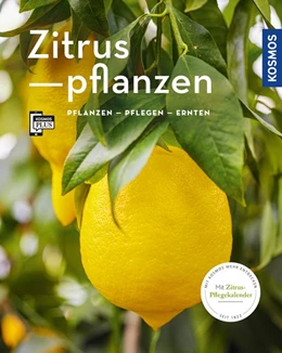 Abbildung von Große Holtforth | Zitruspflanzen (Mein Garten) | 2. Auflage | 2020 | beck-shop.de