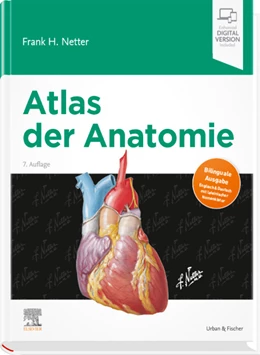 Abbildung von Netter | Atlas der Anatomie | 7. Auflage | 2020 | beck-shop.de