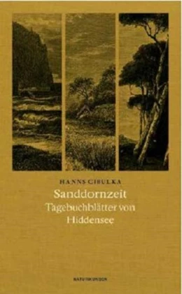 Abbildung von Cibulka | Sanddornzeit | 1. Auflage | 2020 | beck-shop.de