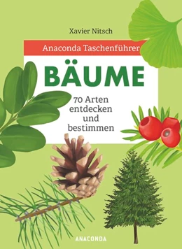 Abbildung von Nitsch | Anaconda Taschenführer Bäume. 70 Arten entdecken und bestimmen - | 1. Auflage | 2020 | beck-shop.de