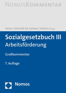 Abbildung von Heinz / Schmidt-De Caluwe | Sozialgesetzbuch III | 7. Auflage | 2021 | beck-shop.de