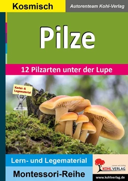 Abbildung von Kohl-Verlag | Pilze | 1. Auflage | 2019 | beck-shop.de