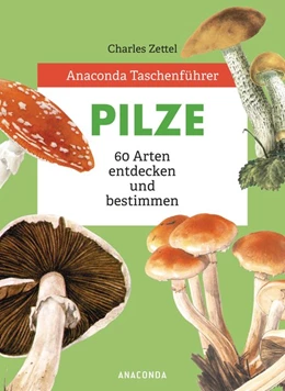 Abbildung von Zettel | Anaconda Taschenführer Pilze. 59 Arten entdecken und bestimmen | 1. Auflage | 2020 | beck-shop.de