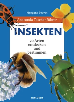 Abbildung von Peyrot / Herzog | Anaconda Taschenführer Insekten. 70 Arten entdecken und bestimmen | 1. Auflage | 2021 | beck-shop.de