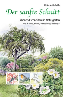 Abbildung von Aufderheide | Der sanfte Schnitt | 3. Auflage | 2018 | beck-shop.de