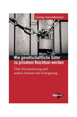 Abbildung von Auernheimer | Wie gesellschaftliche Güter zu privatem Reichtum werden | 1. Auflage | 2021 | 299 | beck-shop.de