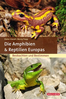 Abbildung von Glandt / Trapp | Die Amphibien und Reptilien Europas | 1. Auflage | 2022 | beck-shop.de