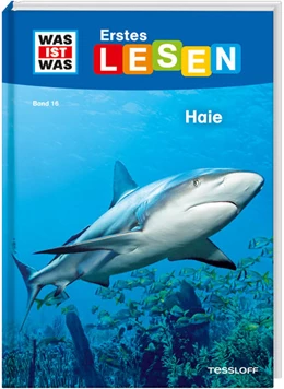 Abbildung von Braun | WAS IST WAS Erstes Lesen Band 16. Haie | 1. Auflage | 2021 | beck-shop.de