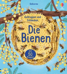 Abbildung von Bone | Aufklappen und Entdecken: Die Bienen | 1. Auflage | 2021 | beck-shop.de