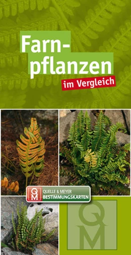 Abbildung von Quelle & Meyer Verlag | Farnpflanzen im Vergleich | 1. Auflage | 2021 | beck-shop.de