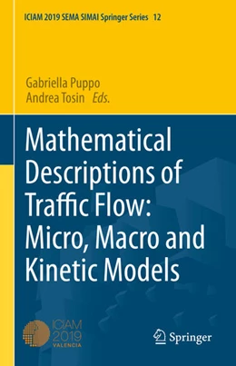 Abbildung von Puppo / Tosin | Mathematical Descriptions of Traffic Flow: Micro, Macro and Kinetic Models | 1. Auflage | 2021 | beck-shop.de