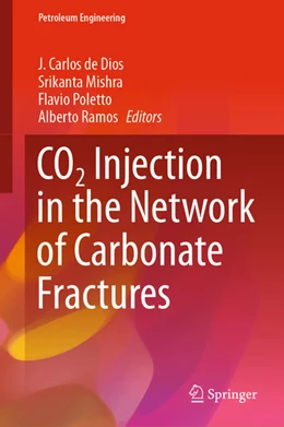 Abbildung von de Dios / Mishra | CO2 Injection in the Network of Carbonate Fractures | 1. Auflage | 2020 | beck-shop.de