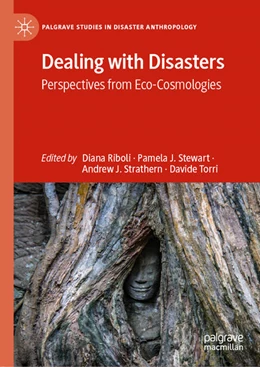 Abbildung von Riboli / Stewart | Dealing with Disasters | 1. Auflage | 2020 | beck-shop.de