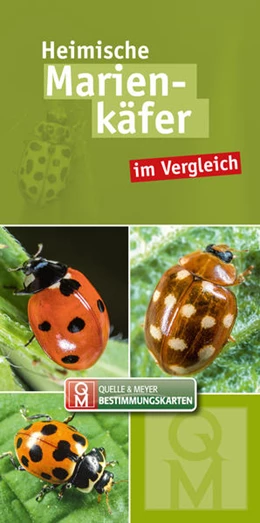 Abbildung von Quelle & Meyer Verlag | Heimische Marienkäfer im Vergleich | 1. Auflage | 2021 | beck-shop.de