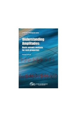 Abbildung von Understanding Amplitudes | 1. Auflage | 2021 | beck-shop.de