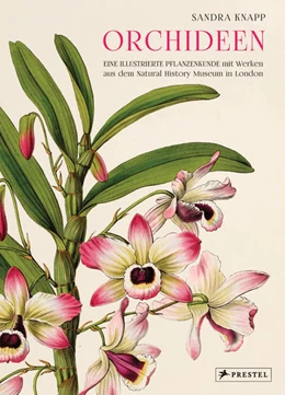 Abbildung von Knapp | Orchideen | 1. Auflage | 2022 | beck-shop.de