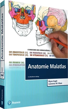Abbildung von Kapit / Elson | Anatomie Malatlas | 4. Auflage | 2022 | beck-shop.de
