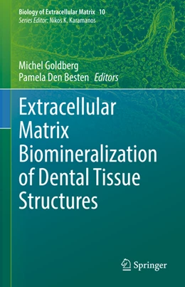 Abbildung von Goldberg / Den Besten | Extracellular Matrix Biomineralization of Dental Tissue Structures | 1. Auflage | 2021 | beck-shop.de