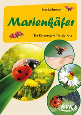 Abbildung von Ernsten | Marienkäfer | 1. Auflage | 2022 | beck-shop.de