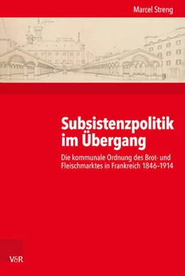 Abbildung von Streng | Subsistenzpolitik im Übergang | 1. Auflage | 2017 | beck-shop.de