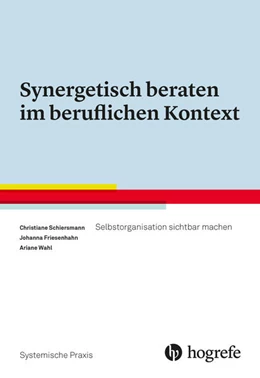 Abbildung von Schiersmann / Friesenhahn | Synergetisch beraten im beruflichen Kontext | 1. Auflage | 2015 | beck-shop.de