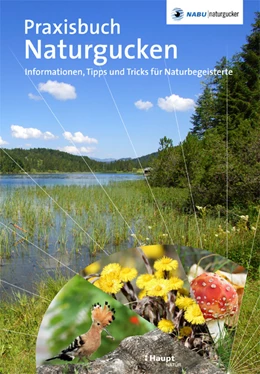 Abbildung von Munzinger / NABU-naturgucker. de | Praxisbuch Naturgucken | 1. Auflage | 2022 | beck-shop.de
