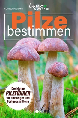 Abbildung von Gutjahr | Pilze bestimmen - Der kleine Pilzführer für Einsteiger und Fortgeschrittene | 1. Auflage | 2022 | beck-shop.de