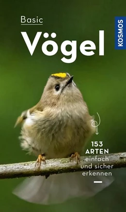 Abbildung von Dierschke | BASIC Vögel | 1. Auflage | 2022 | beck-shop.de