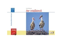 Abbildung von Kattmann | Der Weißstorch | 1. Auflage | 2022 | beck-shop.de