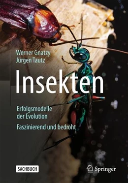 Abbildung von Gnatzy / Tautz | Insekten - Erfolgsmodelle der Evolution | 1. Auflage | 2023 | beck-shop.de