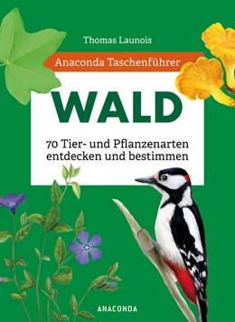 Abbildung von Launois / Nitsch | Anaconda Taschenführer Wald - 70 Tier- und Pflanzenarten entdecken und bestimmen | 1. Auflage | 2023 | beck-shop.de