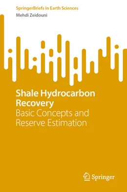 Abbildung von Zeidouni | Shale Hydrocarbon Recovery | 1. Auflage | 2023 | beck-shop.de