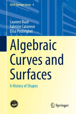 Abbildung von Busé / Catanese | Algebraic Curves and Surfaces | 1. Auflage | 2023 | beck-shop.de